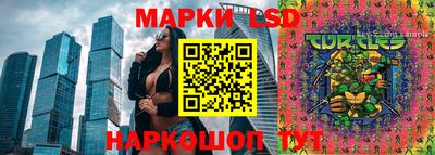 индика Кандалакша
