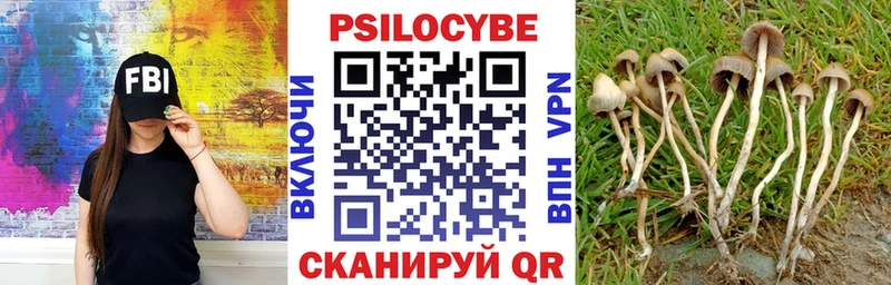 Псилоцибиновые грибы ЛСД  наркошоп  Новороссийск 